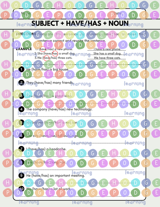 S + have/has + Noun (Possession) Worksheet [Digital Download]